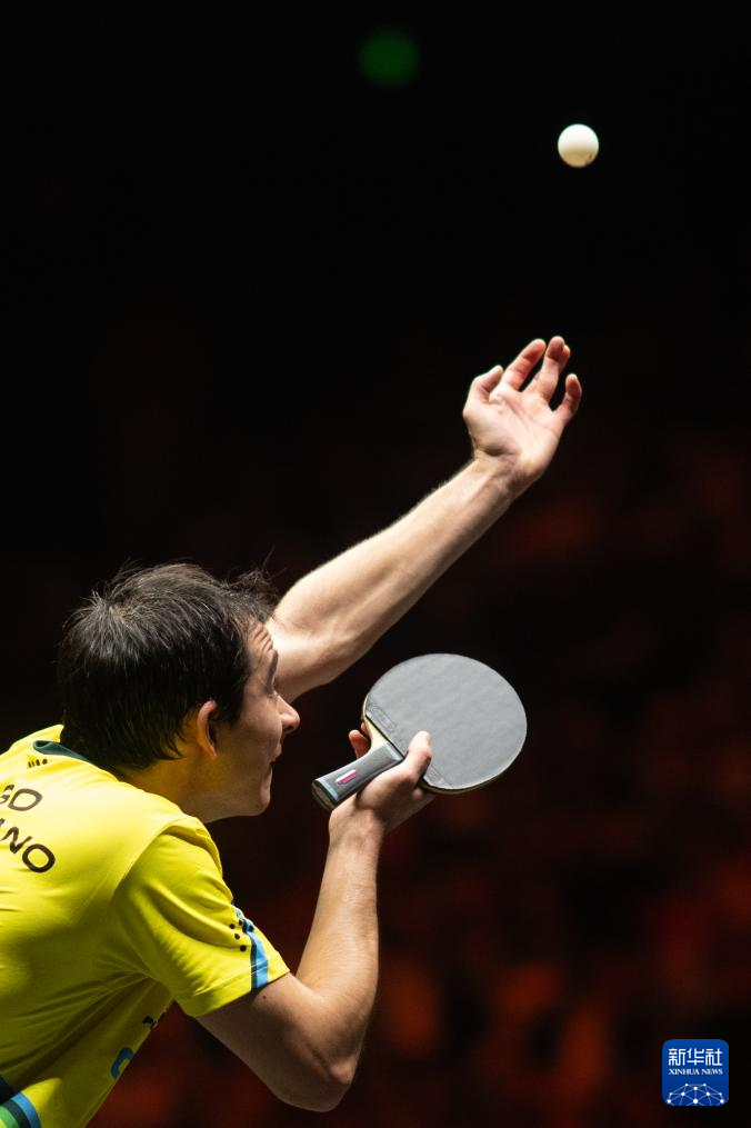 诺克的旗帜 诺克的旗帜